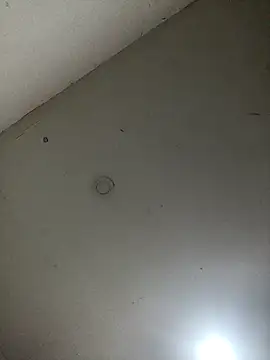 jeremiabello online show from February 28, 4:32 am