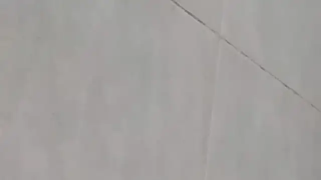 tus ordenes mis deseos online show from March 12, 5:02 am