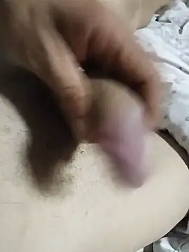 uelytom online show from November 27, 8:51 am