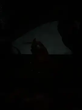 willywonka7793 online show from December 18, 12:28 am