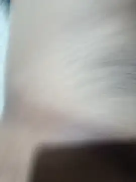 anonimonovinho online show from February 16, 1:47 am