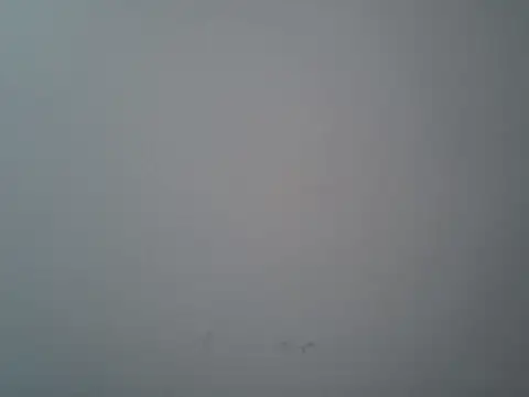 lovedoggy03 online show from January 12, 1:04 pm