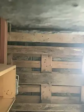 RicarBer online show from March 13, 12:35 pm