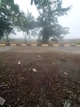 blackcobra94 online show from December 14, 8:13 am