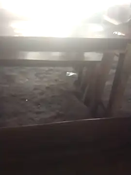 cutetaraaarhjn online show from September 26, 3:15 am