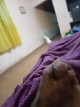 carloshot31 online show from March 31, 8:49 am