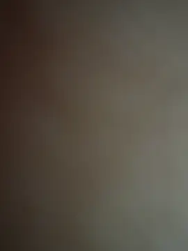 albevdr online show from February 4, 8:04 pm