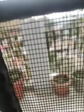 shale26 online show from December 10, 2:35 am