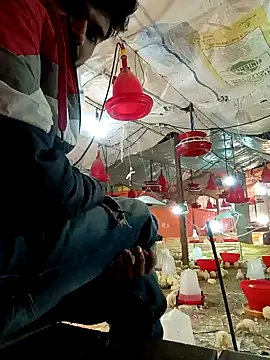 Roni1028 online show from December 31, 5:11 am