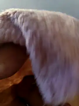 Snapshot of ariel-rick chatting on November 5, 6:10 pm ariel-rick online show from November 5, 6:10 pm