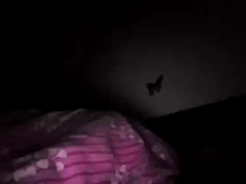 Husoban online show from November 17, 4:32 pm