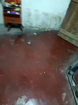 shenLytle online show from October 2, 7:51 pm