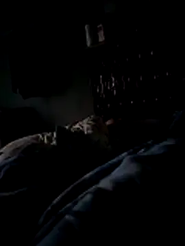 narcismarcu11 online show from December 14, 7:04 am