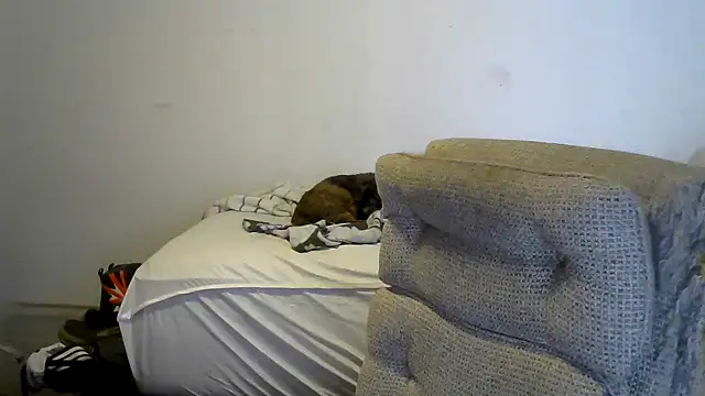 viejo oso online show from March 22, 6:57 pm