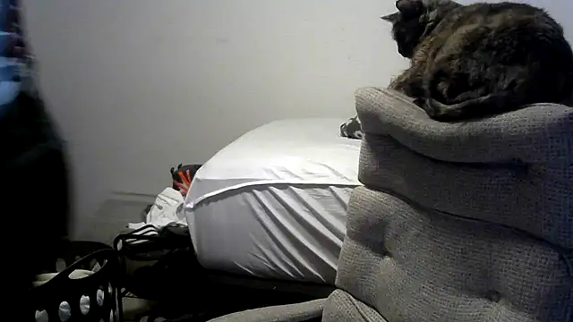 viejo oso online show from April 10, 3:24 am