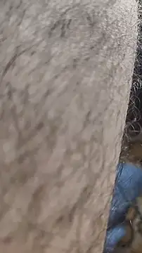 niyack69 online show from January 31, 11:03 pm