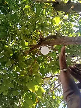 carria homes online show from February 23, 5:46 pm