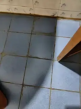 dreamers dick online show from January 9, 7:50 pm