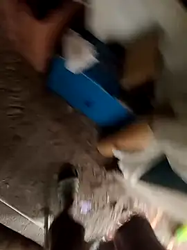 mario0212 online show from November 11, 12:54 pm