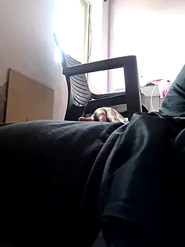 braveman999 online show from March 27, 7:34 am