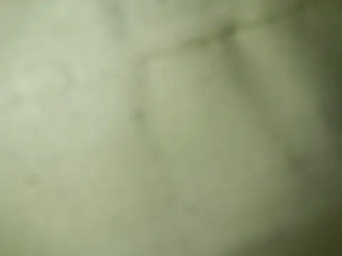 Ktosik88 online show from January 18, 7:49 pm