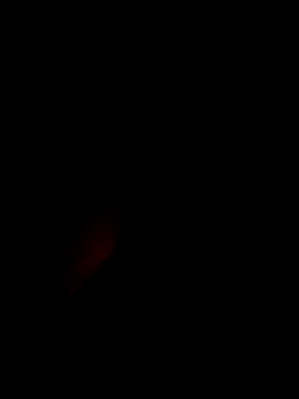 Snapshot of xxxxGuruxxxx chatting on March 10, 6:38 am xxxxGuruxxxx online show from March 10, 6:38 am