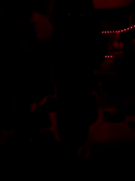 Blade Ryder666 online show from December 17, 7:59 am