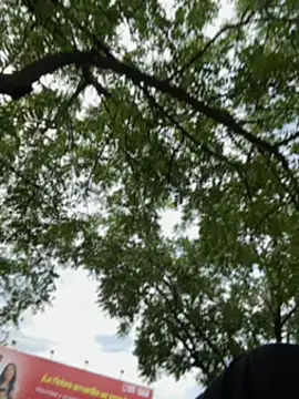 arevalo1124 online show from December 2, 9:18 pm