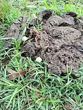 RichardHard 1 online show from January 17, 9:05 pm