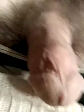 LustHaven-Sigma online show from February 15, 12:16 am