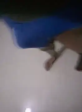 Crowlers online show from October 11, 7:40 pm