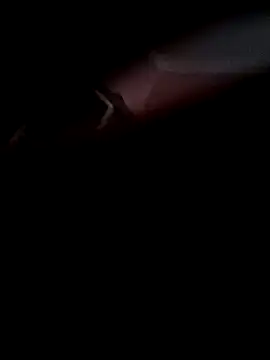 Arabian online show from November 8, 10:07 am