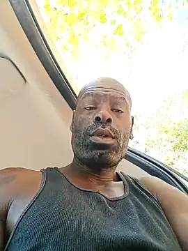 birdg online show from October 2, 5:17 pm