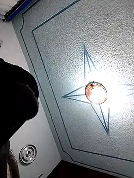 zoi78 online show from February 14, 7:49 am