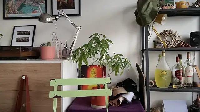 MikymikeBBWD online show from November 22, 1:54 pm