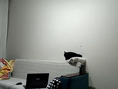 BellBort online show from March 3, 7:43 pm