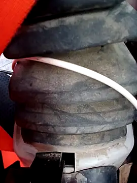 Eusuntnoulgigolo online show from February 10, 8:08 am