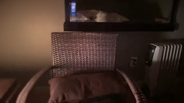 Snapshot of DominantDong chatting on February 28, 11:25 am DominantDong online show from February 28, 11:25 am