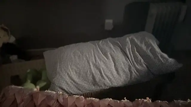 Snapshot of DominantDong chatting on March 9, 11:56 pm DominantDong online show from March 9, 11:56 pm