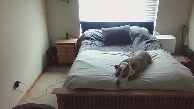 Snapshot of Johnnypro1OF chatting on September 10, 5:11 pm Johnnypro1OF online show from September 10, 5:11 pm