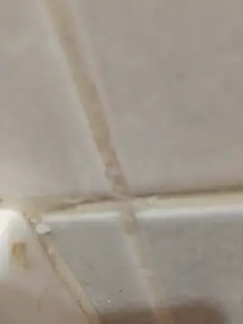 enoc369 online show from April 4, 7:05 am