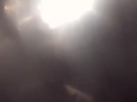 dxmiian online show from December 18, 6:48 pm