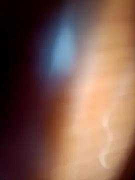 gordiricosv online show from February 14, 9:43 pm