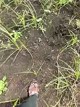 himvilohi08 online show from October 1, 5:33 am