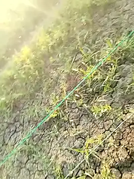 himvilohi08 online show from March 21, 12:31 pm