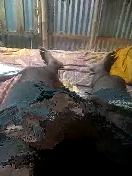 Suvo77Midnight online show from October 17, 10:41 am