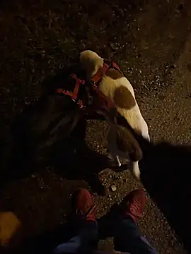 svenpfeifer online show from December 20, 10:50 pm