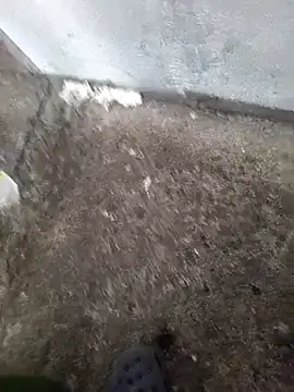 Angel dos019 online show from March 8, 1:37 pm