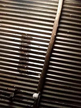 paptsimo online show from February 9, 8:52 am