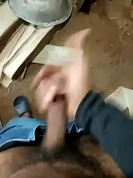 zim200 online show from November 11, 3:55 am